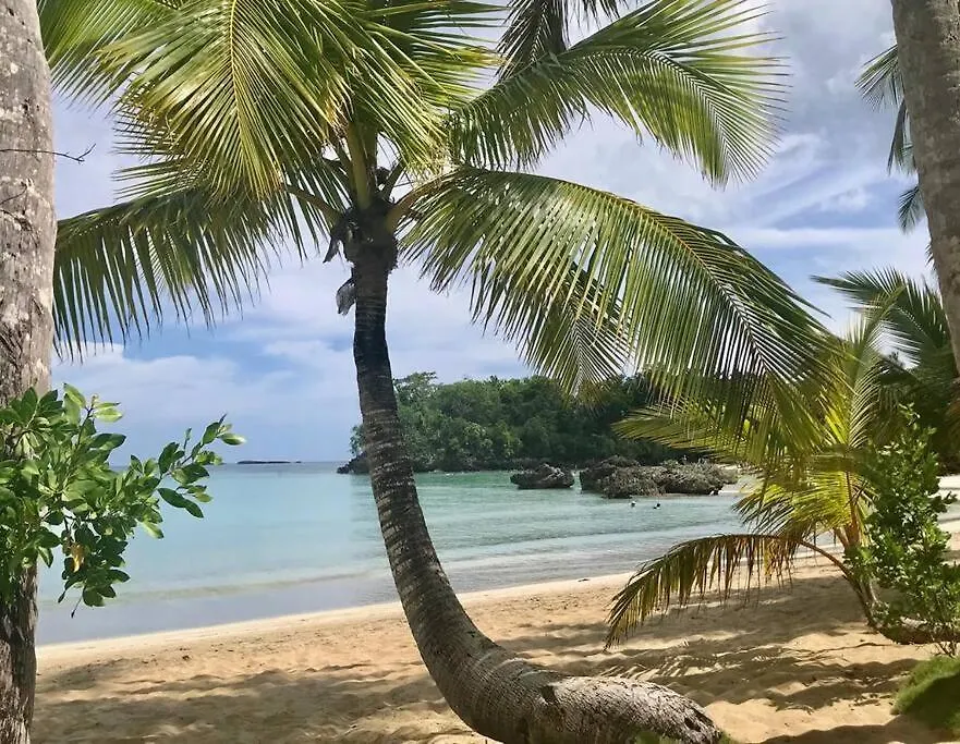 Estudio En Playa Bonita Bech Residences Лас Терренас Доминиканская Республика