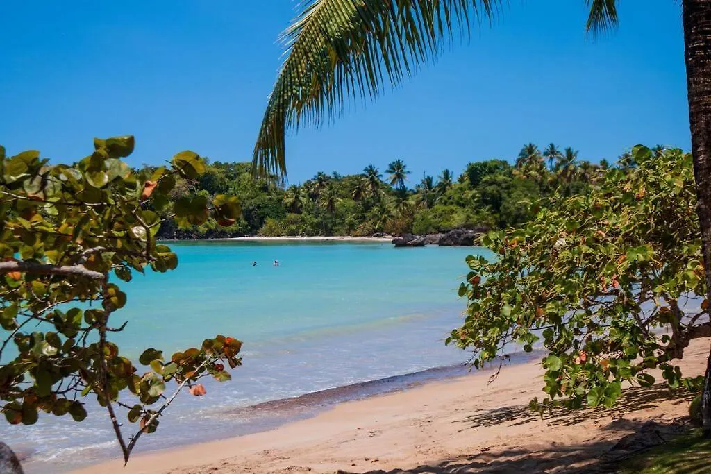 Appartamento Estudio En Playa Bonita Bech Residences Las Terrenas Repubblica Dominicana